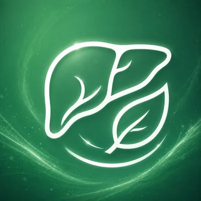 Detox e supporto epatico
