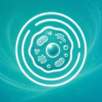 Protezione cellulare profonda